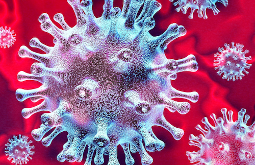 Adoptez les gestes et les attitudes barrière